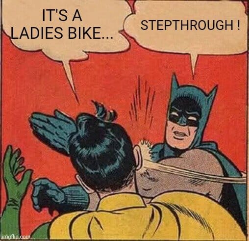 It is a step-through bike, not a ladies' bike