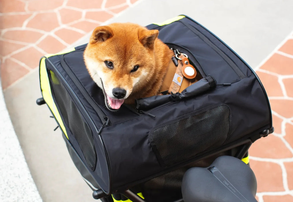 CARGO BIKES (PET TRANSPORTATION)