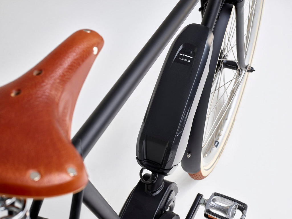 Achielle Ernest E-Bike Bicycles Rothar bikes and accessories 