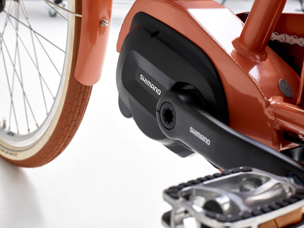 Achielle Esmee E-Bike Bicycles Rothar bikes and accessories 