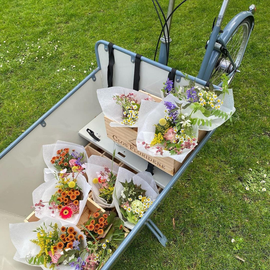 Achielle Ferre Cargo E-Bike (For Family) Bicycles Rothar bikes and accessories 