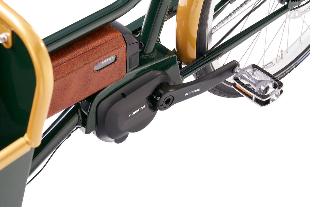 Achielle Ferre Cargo E-Bike (For Family) Bicycles Rothar bikes and accessories 