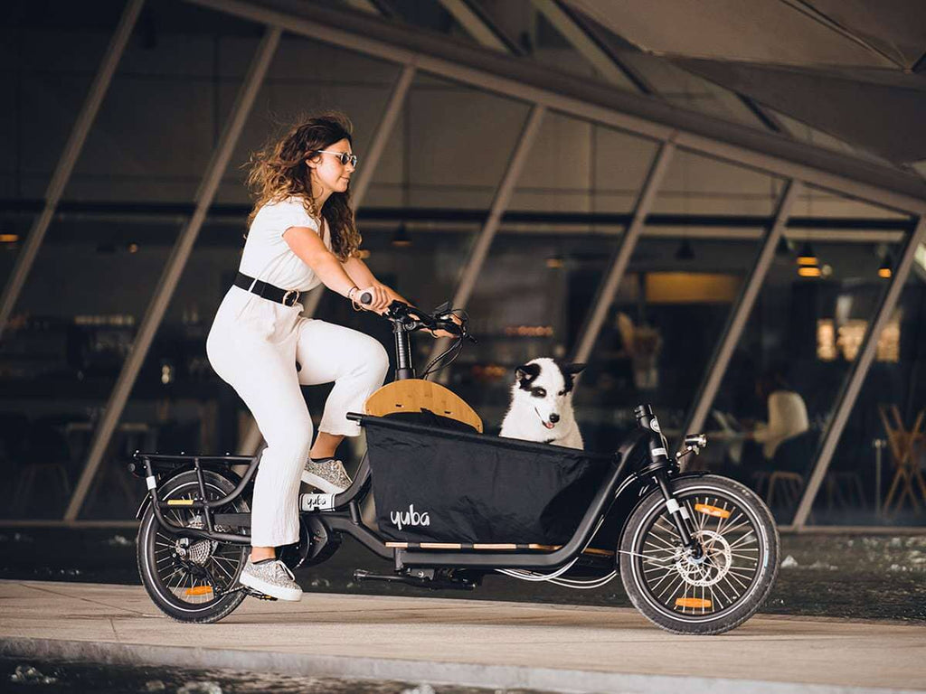 Yuba supercargo electric cargo bike Bicycles Rothar bikes and accessories 